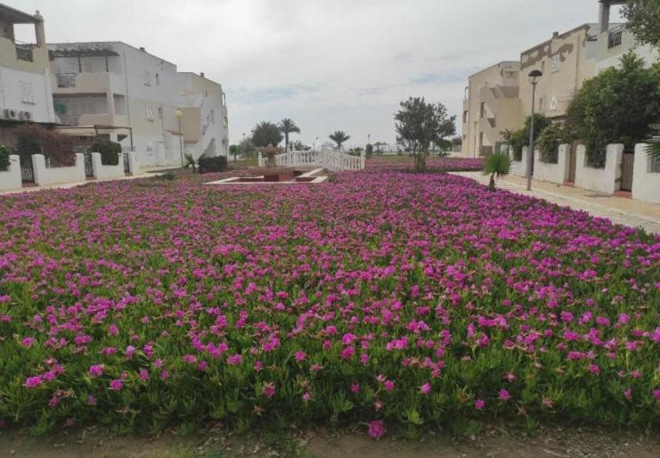 Naturista Natura World Playas de Vera Dış mekan fotoğraf